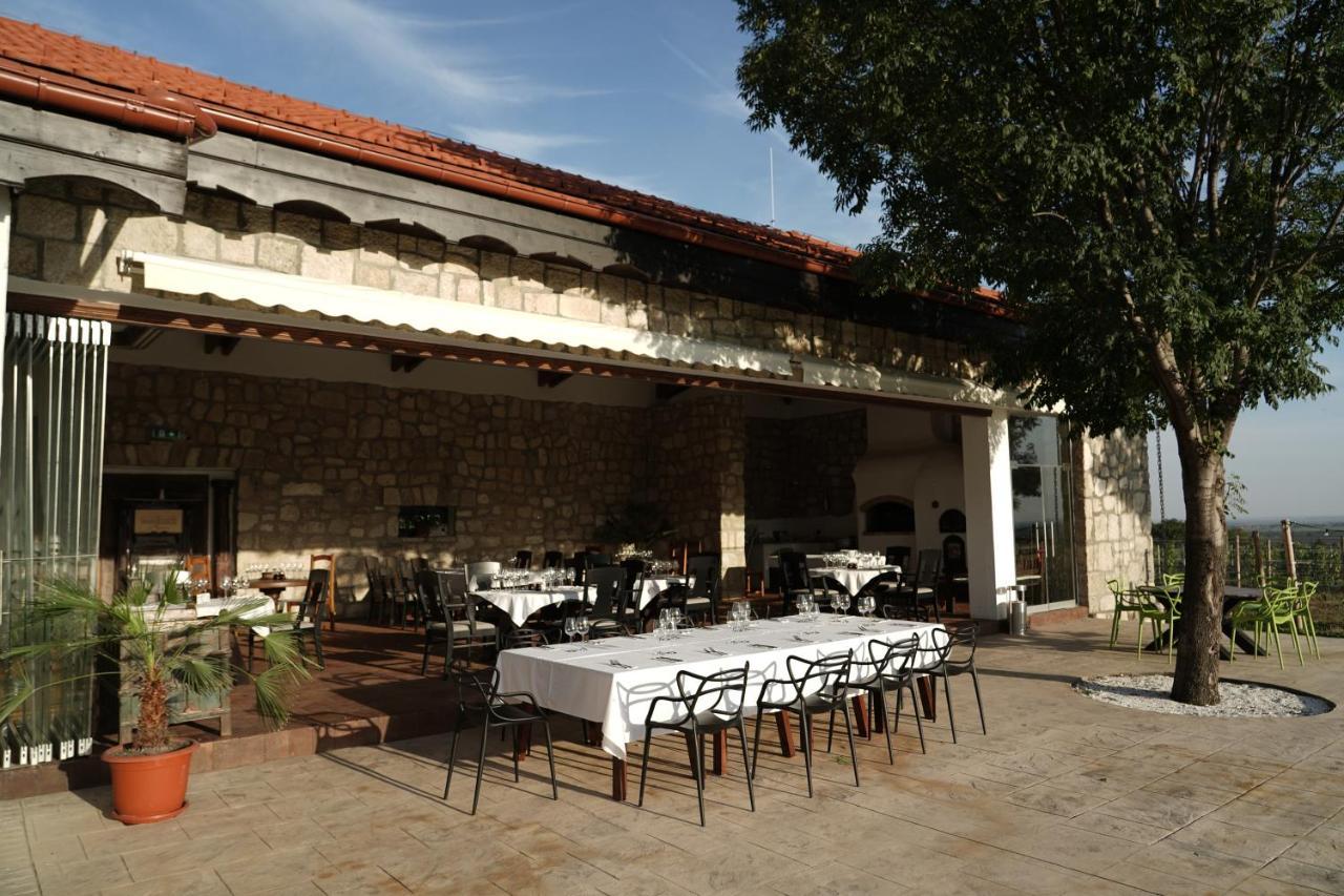 Crama Apogeum - Adult Only Hotel Gura Vadului Exterior foto